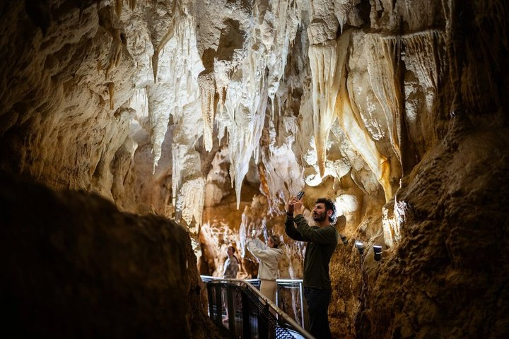 90-Minute Guided Ruakuri Cave Tour Waitomo - Photo 1 of 4